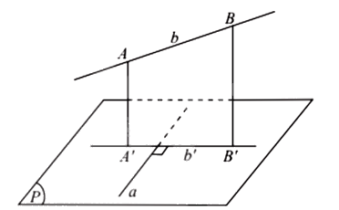 Lý thuyết Đường thẳng vuông góc với mặt phẳng - Toán 11 Chân trời sáng tạo 6