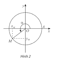 Lý thuyết Giá trị lượng giác của một góc lượng giác - SGK Toán 11 Chân trời sáng tạo 1