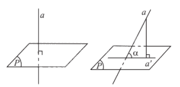 Lý thuyết Góc giữa đường thẳng và mặt phẳng. Góc nhị diện - Toán 11 Chân trời sáng tạo 1