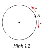 Lý thuyết Góc lượng giác - SGK Toán 11 Cùng khám phá 1