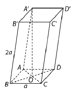 Lý thuyết Thể tích khối lăng trụ, khối chóp và khối chóp cụt đều - SGK Toán 11 Cùng khám phá 5